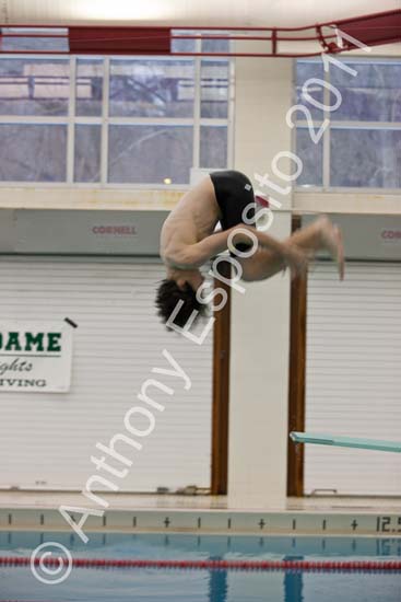 Swim 109