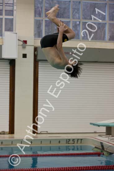 Swim 115