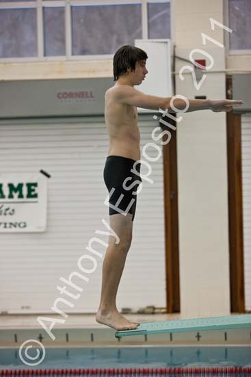Swim 117