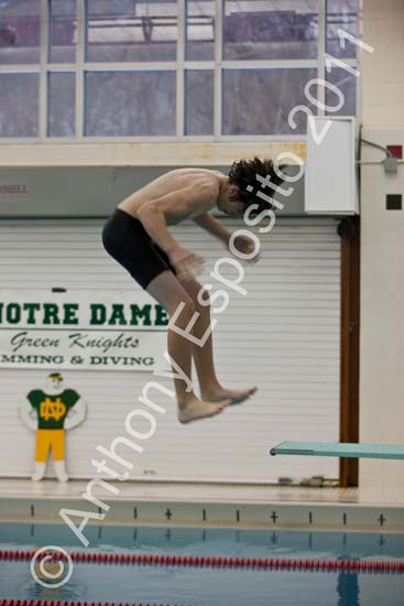 Swim 119