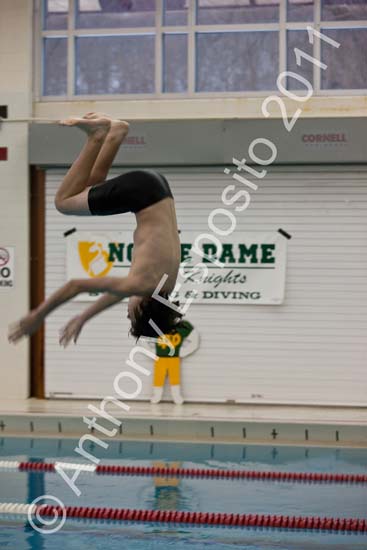 Swim 121