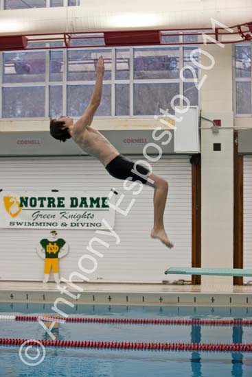 Swim 123