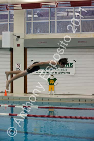 Swim 126