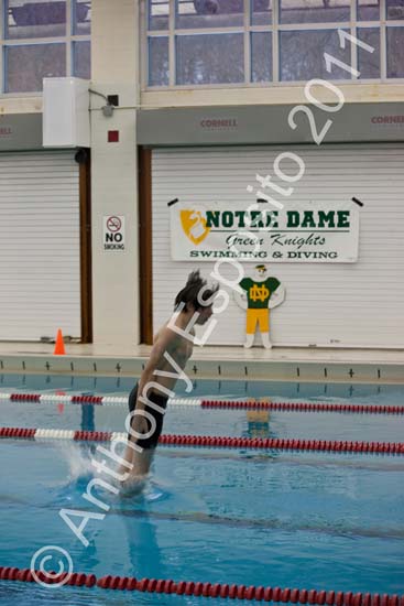 Swim 127