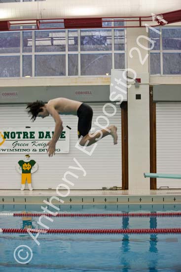 Swim 130
