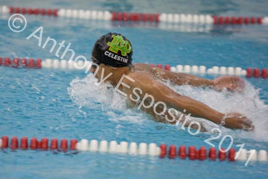 Swim 166