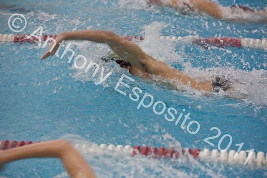 Swim 178