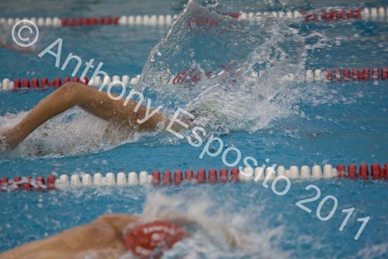 Swim 182