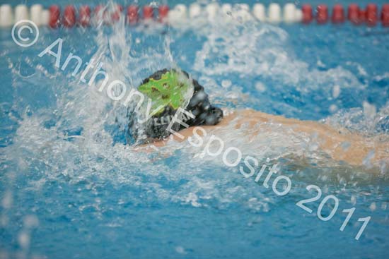 Swim 187