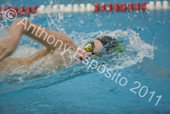 Swim 190