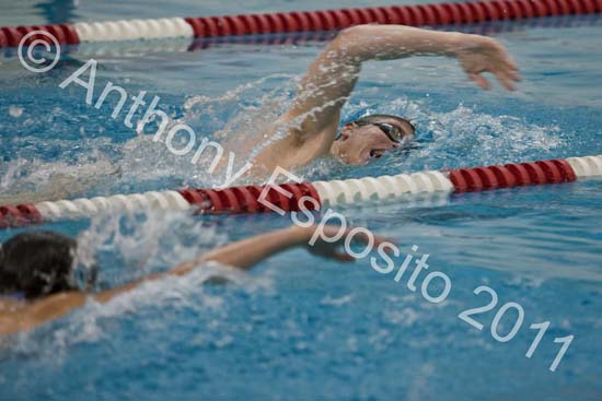 Swim 203