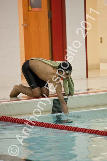 Swim 206