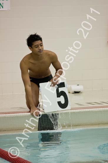 Swim 207