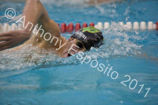 Swim 211