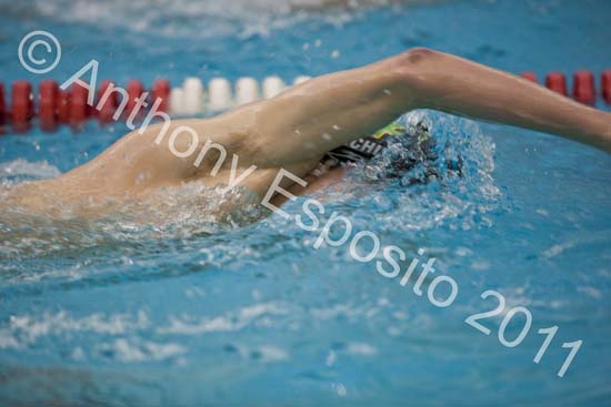 Swim 212