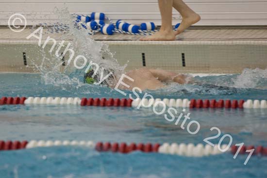Swim 217