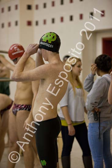 Swim 229