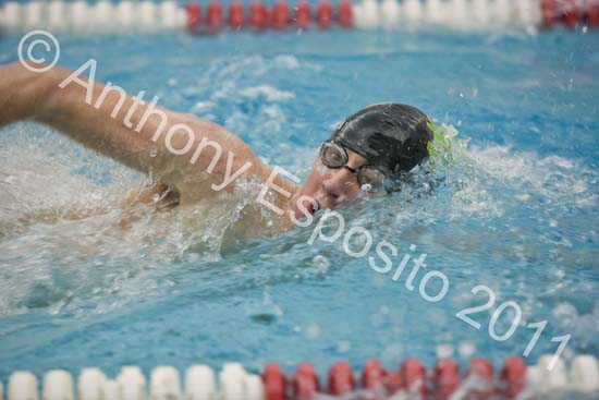 Swim 230