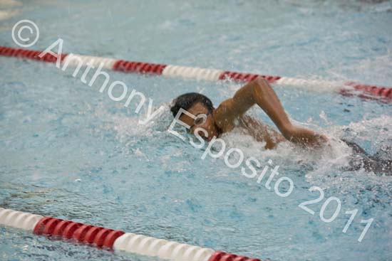 Swim 231