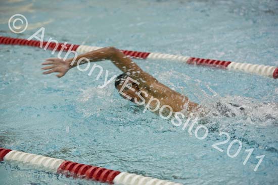 Swim 232