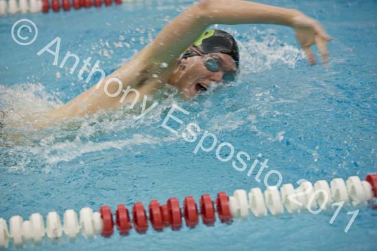 Swim 233