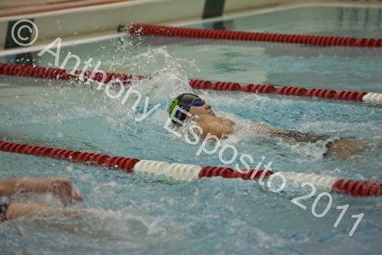 Swim 234