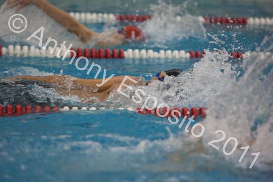 Swim 236
