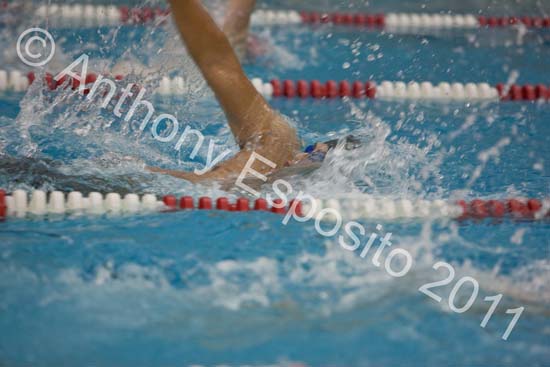 Swim 237