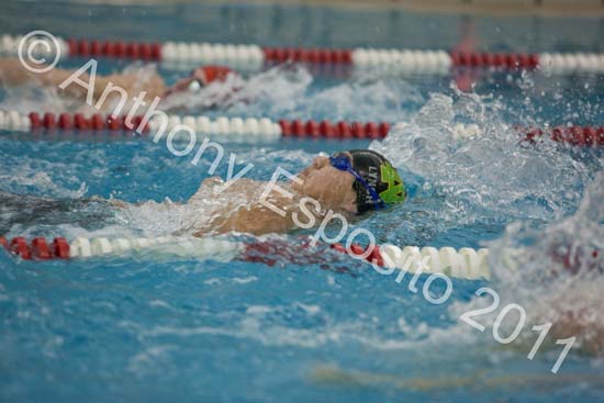 Swim 238