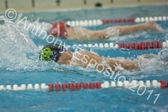 Swim 239