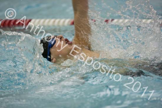 Swim 244