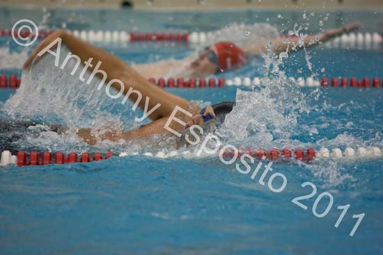 Swim 247