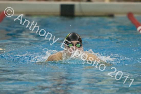 Swim 258