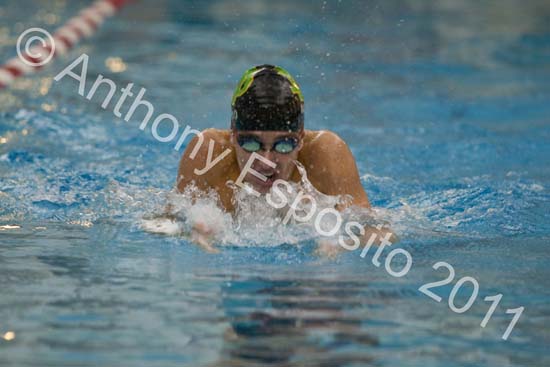 Swim 261
