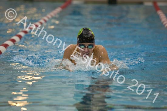 Swim 262