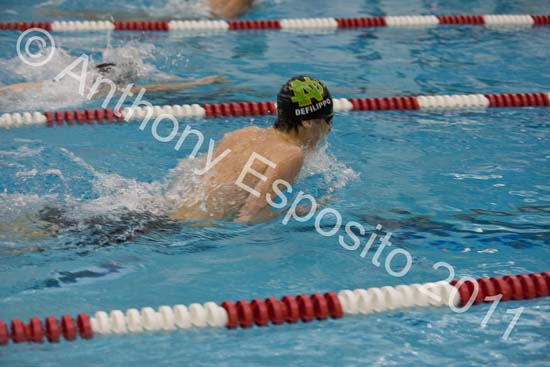 Swim 264