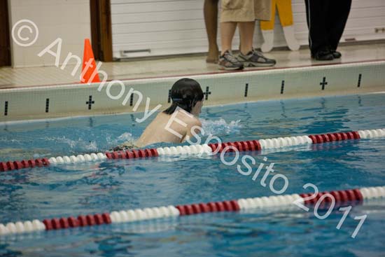 Swim 266