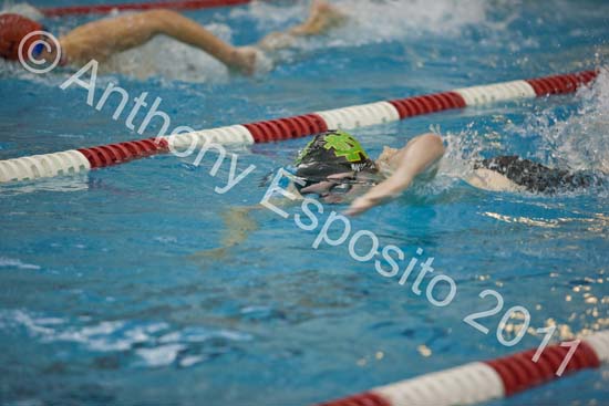 Swim 274