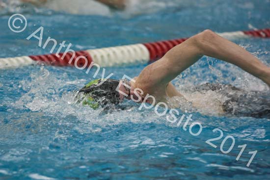 Swim 275