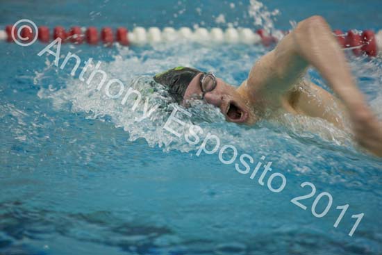Swim 276