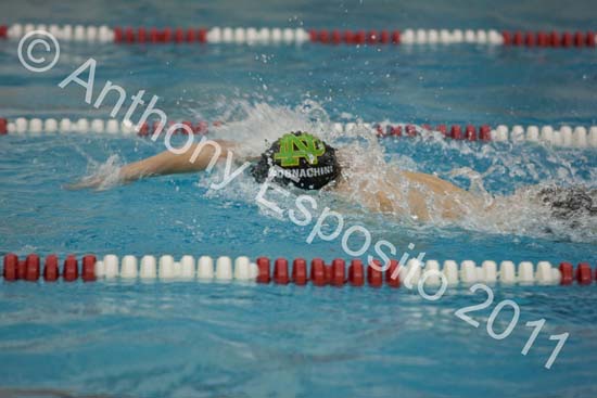 Swim 278