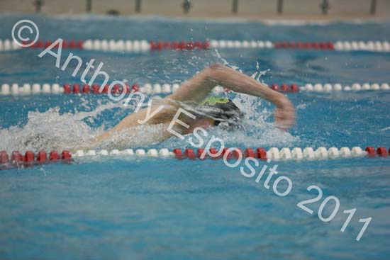 Swim 279