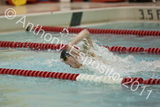 Swim 282
