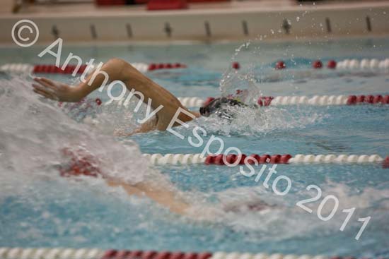 Swim 283