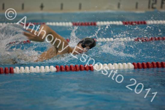 Swim 286