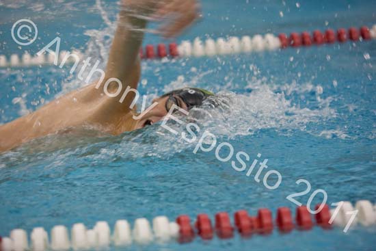 Swim 288