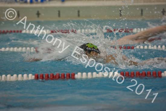 Swim 291