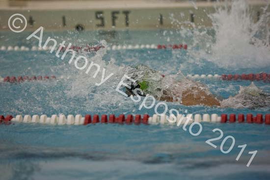 Swim 293