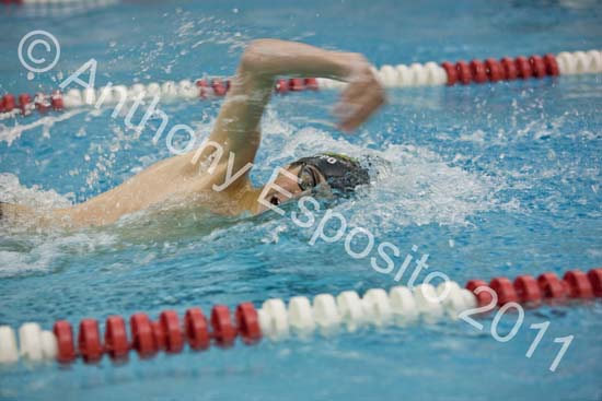 Swim 296