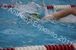 Swim 036